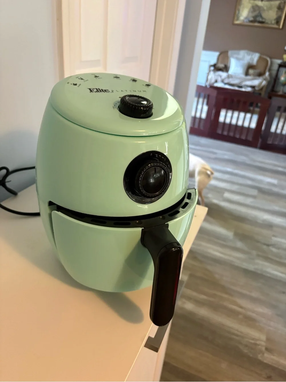 Elite Platinum Mint Green Air Fryer